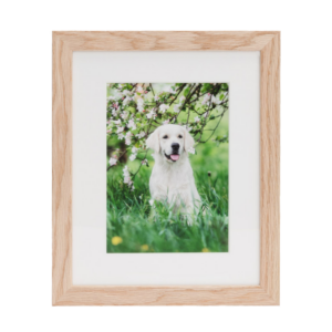 Framed Photo Prints